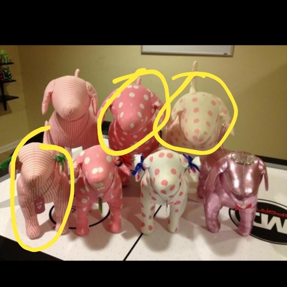 PINK Victoria's Secret Accessories - ISO these vs pink dog circled